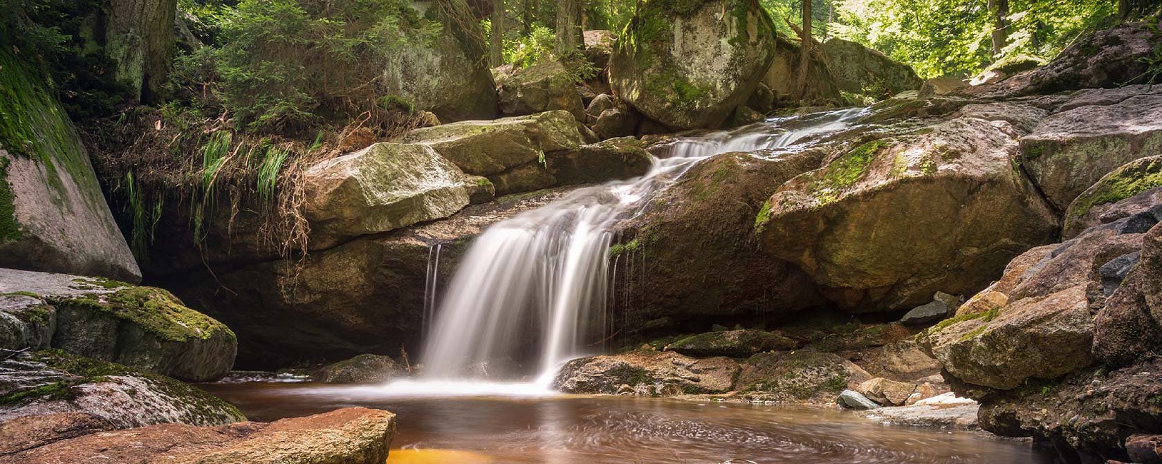 Icatalist_Project_Estilos-de-vida_Recuperar-naturaleza_Fundacion-Biodiversidad