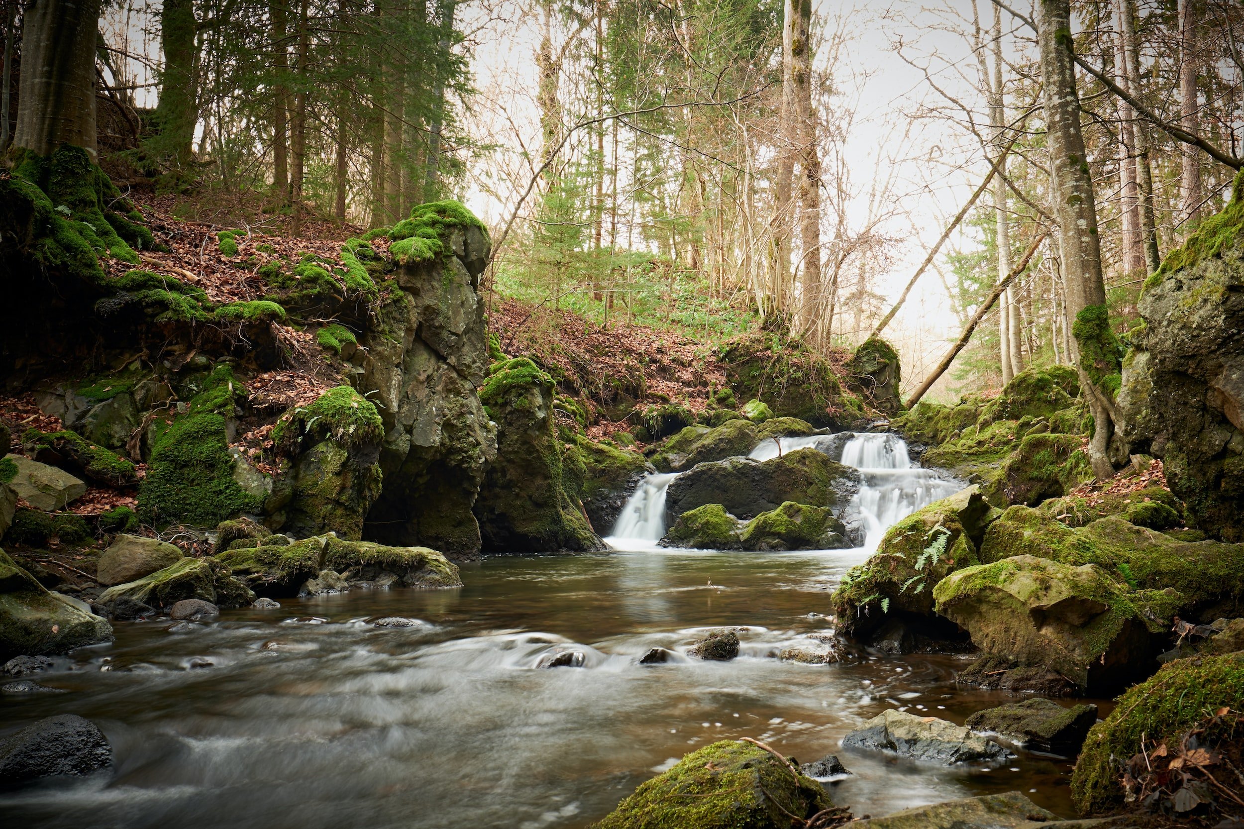 nature-for-catchment