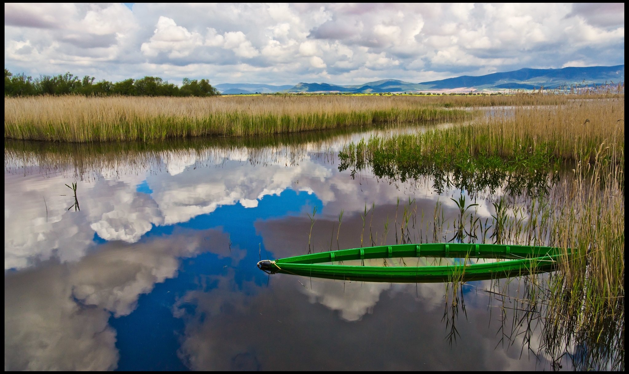 Barca inundada en las Tablas de Daimiel