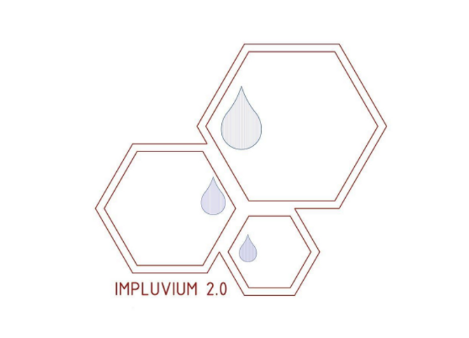 Dibujo inspirado en las estructuras hexagonales de impluvium