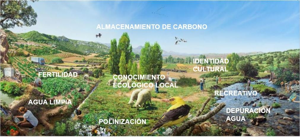 Imagen extraída del proyecto Evaluación de los Ecosistemas del Milenio  de España