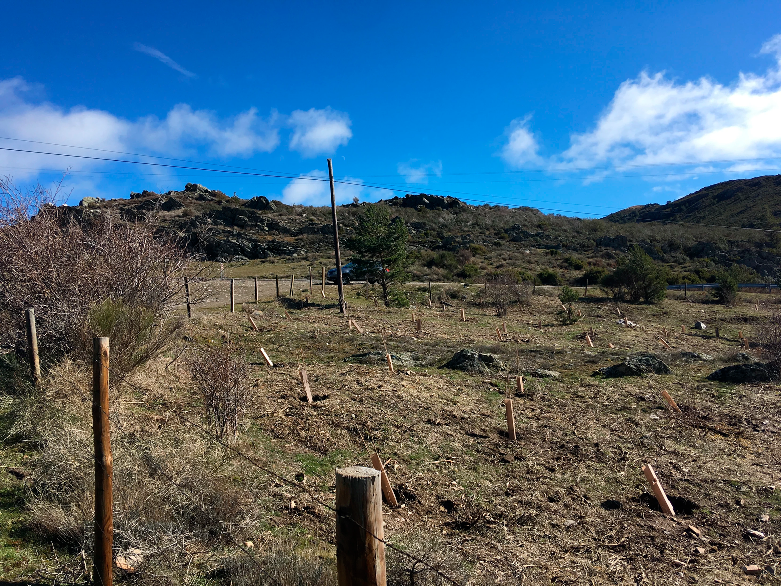 Icatalist-Fundación Montemadrid y Bankia-ReforestaAcción