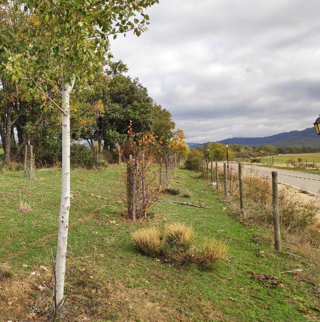 Icatalist-Fundación Montemadrid y Bankia-ReforestaAcción