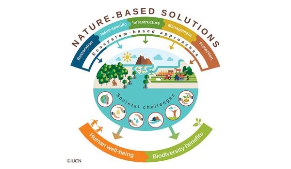 NAIAD - Nature Based Solutions-Infographic