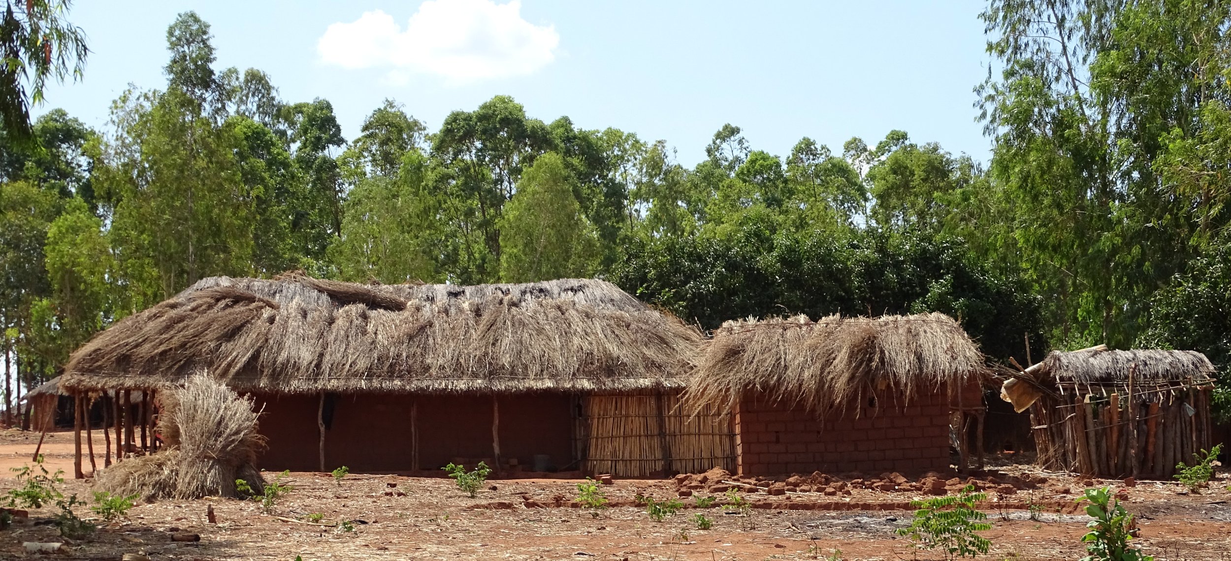 cabañas típicas de Mozambique