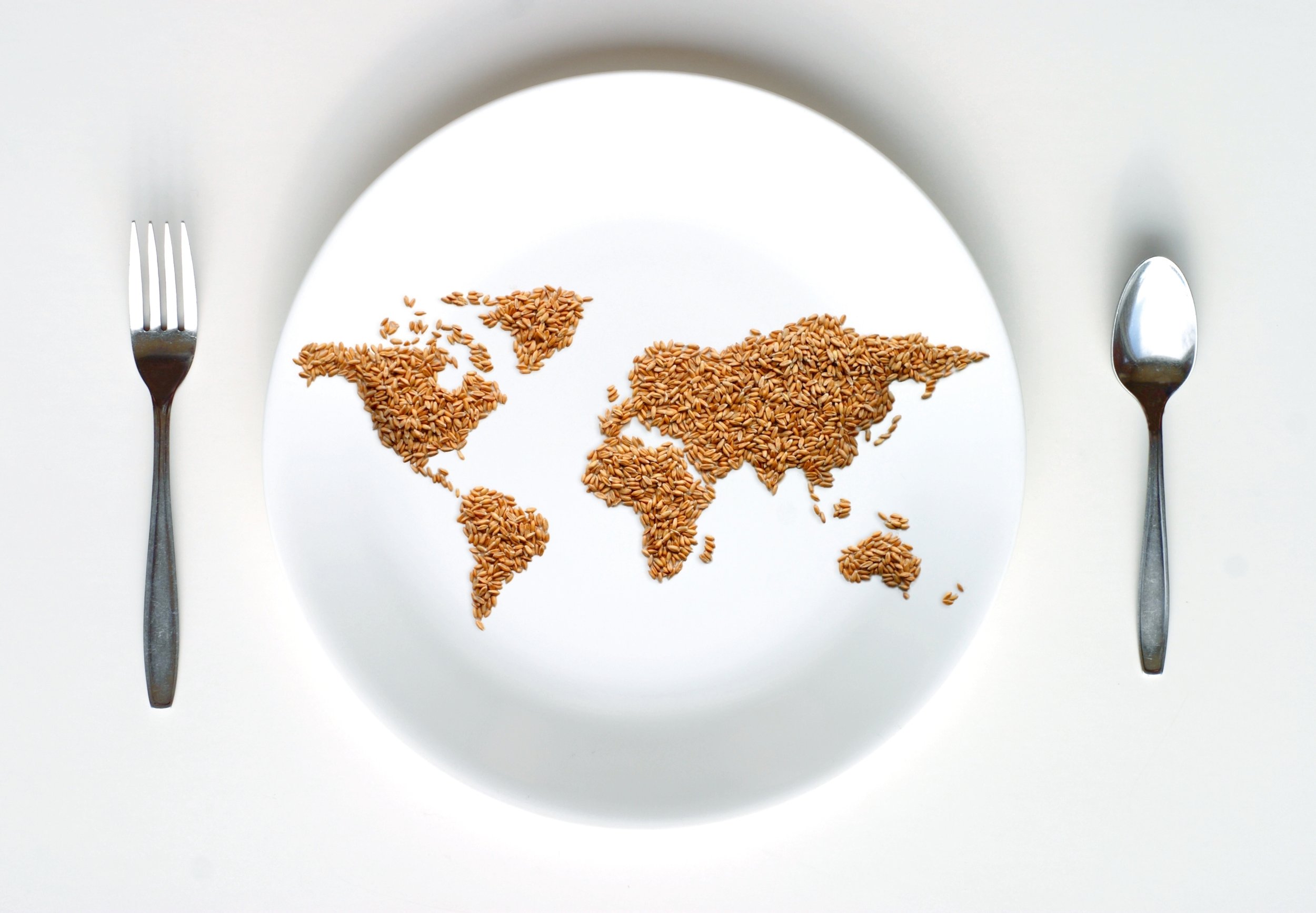 mapa del mundo hecho con semillas en un plato blanco